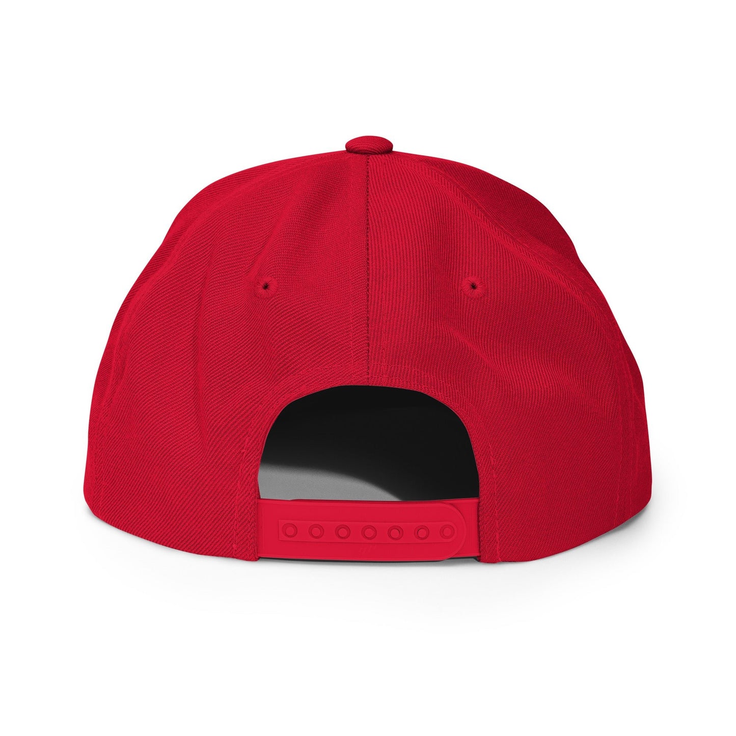 Pixel Lion embroidery snapback hat - Pixitement
