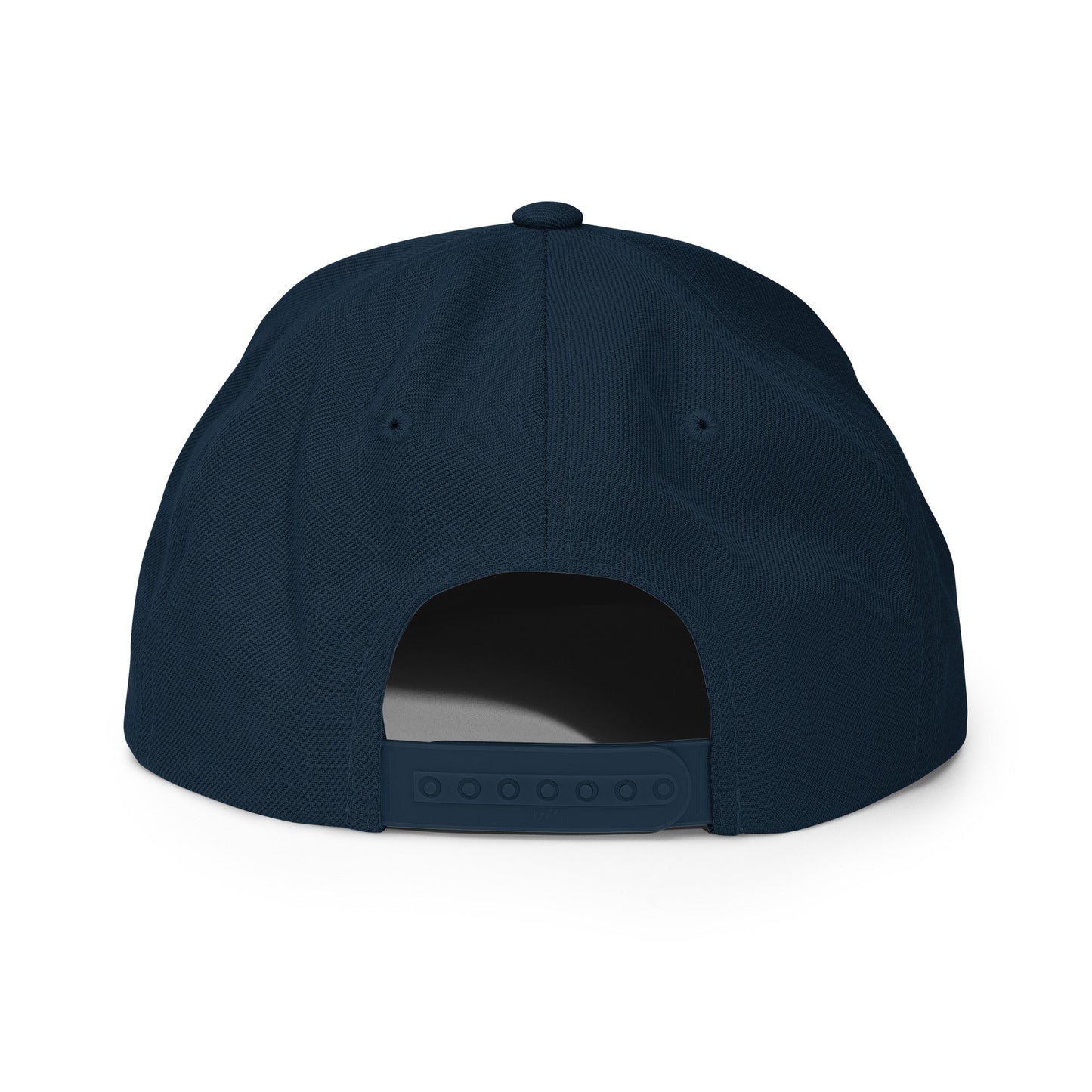 Pixel Lion embroidery snapback hat - Pixitement
