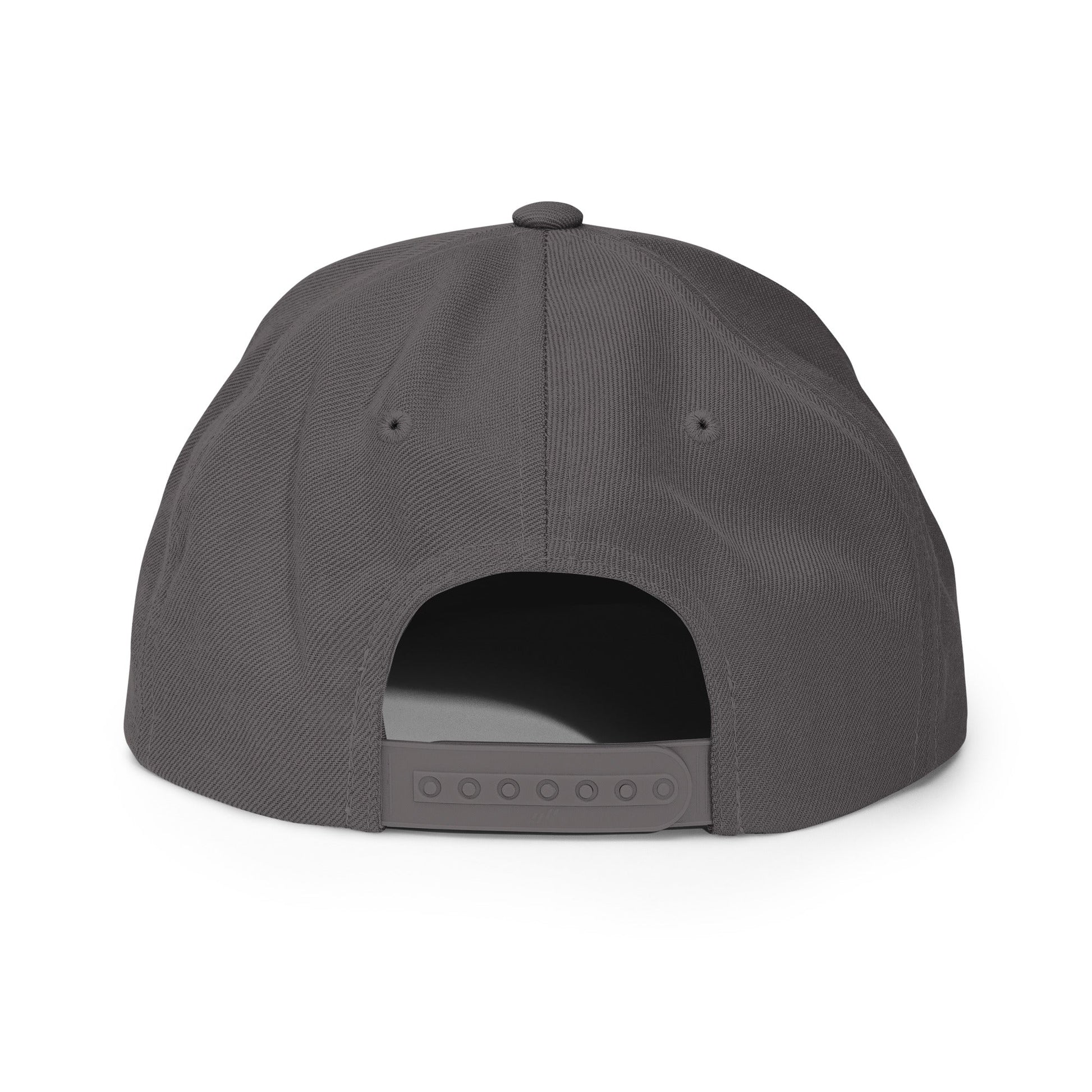 Pixel Lion embroidery snapback hat - Pixitement